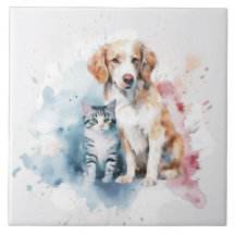Hund und Katze beste Freunde