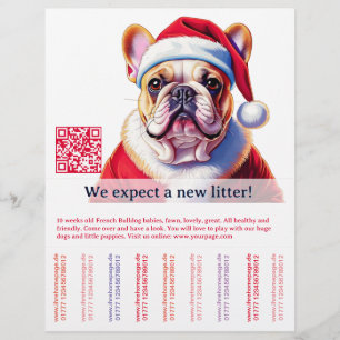 Hund und Katze Flyer