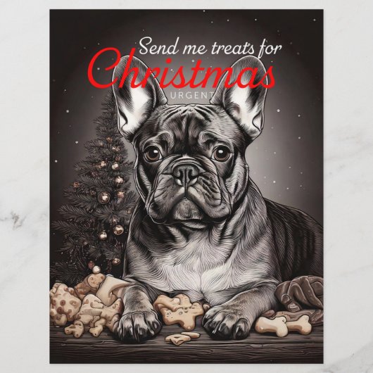 Hund und Katze Flyer (Hinten)