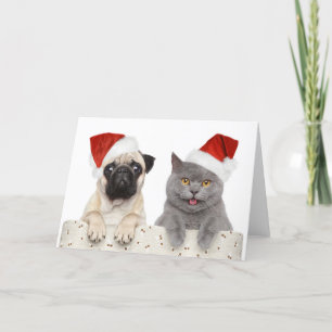Hund und Katze in Red Christmas Hat Feiertagskarte