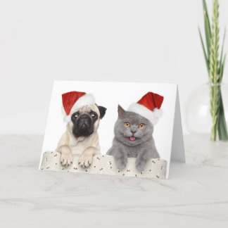 Hund und Katze in Red Christmas Hat Feiertagskarte