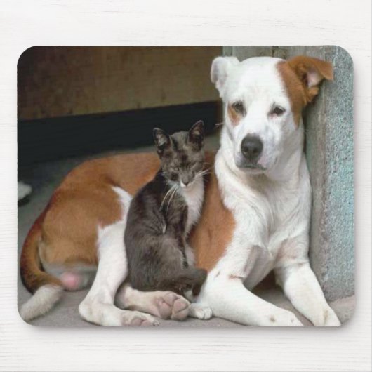 Hund und Katze Mousepad (Vorne)