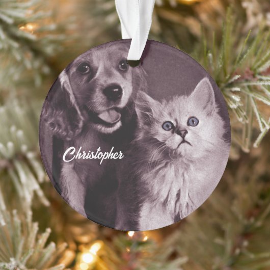 Hund und Katze, Personalisiert nachsehen Ornament (Baum)