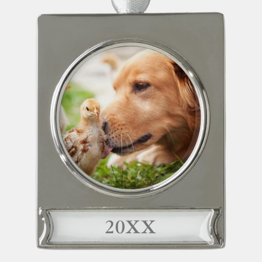 Hund und Küken Banner-Ornament Silber (Vorderseite)