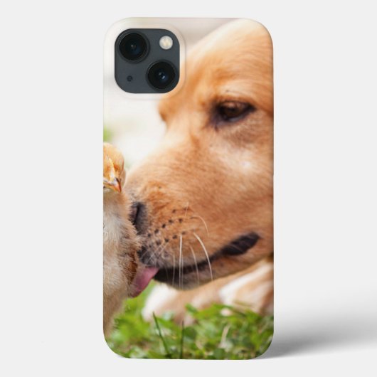 Hund und Küken Case-Mate iPhone Hülle (Rückseite)