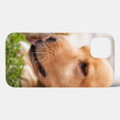 Hund und Küken Case-Mate iPhone Hülle (Rückseite (Horizontal))