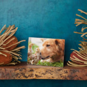 Hund und Küken Fotoplatte (Seite)