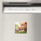 Hund und Küken Magnet (In Situ (Geschirrspüler))