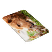 Hund und Küken Magnet (Rechte Seite)