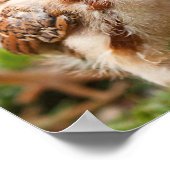 Hund und Küken Poster (Ecke)