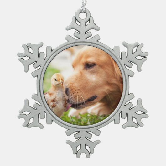 Hund und Küken Schneeflocken Zinn-Ornament (Vorderseite)