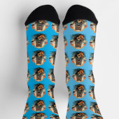 Hund und Musik, Socken (Oben)