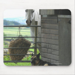Hund und Pferd an der Ranch in Menton, Frankreich Mousepad