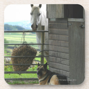 Hund und Pferd an der Ranch in Menton, Frankreich Untersetzer