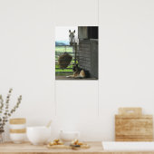Hund und Pferd auf Ranch in Menton, Frankreich Poster (Küche)