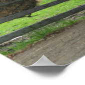 Hund und Pferd auf Ranch in Menton, Frankreich Poster (Ecke)