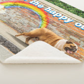 Hund und Rainbow Graffiti Sherpadecke (3/4)