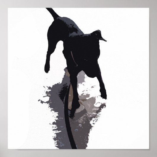 Hund und Schatten Poster (Vorne)