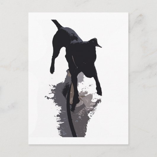 Hund und Schatten Postkarte (Vorderseite)