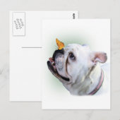Hund und Schmetterling Postkarte (Vorne/Hinten)
