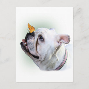 Hund und Schmetterling Postkarte