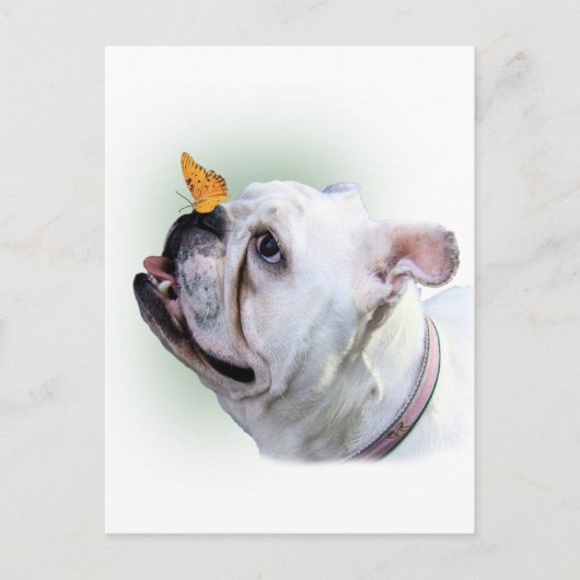 Hund und Schmetterling Postkarte (Vorderseite)