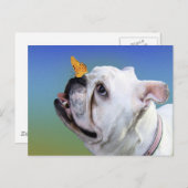 Hund und Schmetterling Postkarte (Vorne/Hinten)