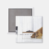 Hund und Tabelle Magnet (Vorderseite/Rückseite)