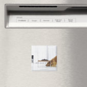 Hund und Tabelle Magnet (In Situ (Geschirrspüler))