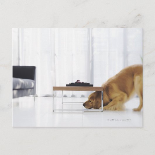 Hund und Tabelle Postkarte (Vorderseite)