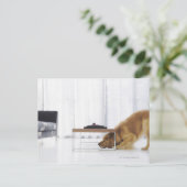 Hund und Tabelle Postkarte (Stehend Vorderseite)