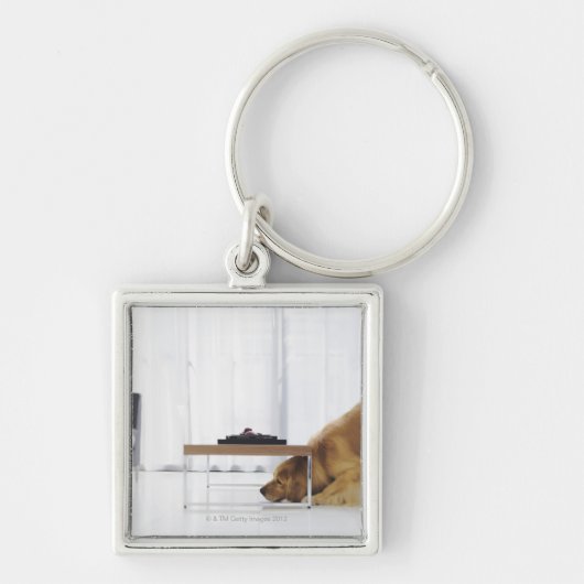 Hund und Tabelle Schlüsselanhänger (Vorne)