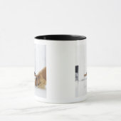 Hund und Tabelle Tasse (Zentrum)