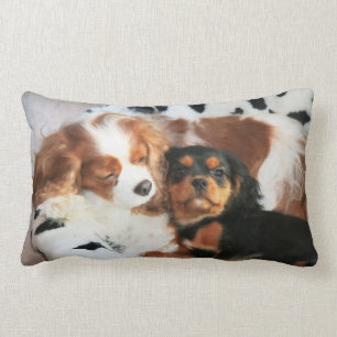 Hund und Welpe Cavalier King Charles Spaniel Kisse Lendenkissen