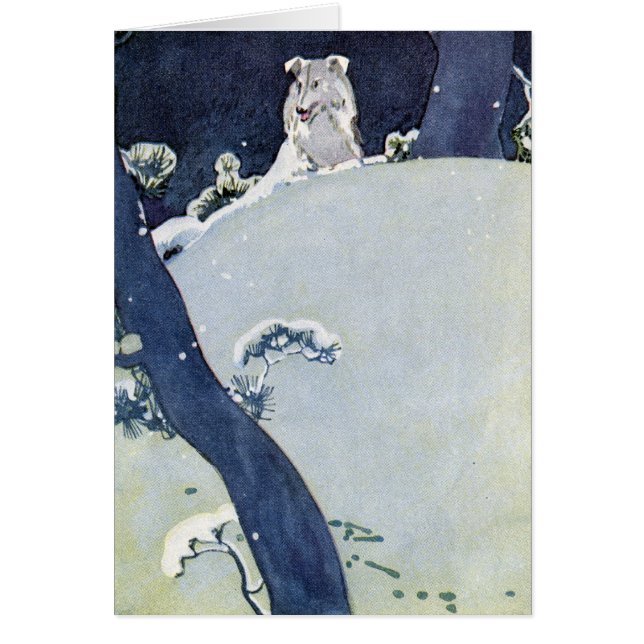 Hund unter Snowy-Kiefern (Vorne)