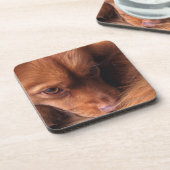 Hund Untersetzer (Linke Seite)