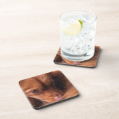 Hund Untersetzer (Rechte Seite)