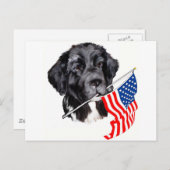 Hund von Neufundland mit Flaggenstaat Postkarte (Vorne/Hinten)
