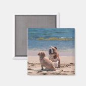 Hund von Sandy Beach Magnet (Vorderseite/Rückseite)