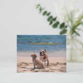 Hund von Sandy Beach Postkarte (Stehend Vorderseite)