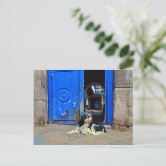 Hund vor blauer Tür Gewartet, Cusco, Peru Postkarte (Stehend Vorderseite)