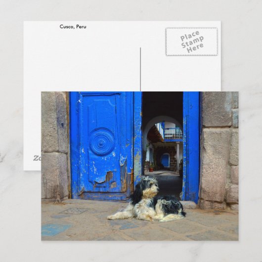 Hund vor blauer Tür Gewartet, Cusco, Peru Postkarte (Vorne/Hinten)
