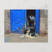 Hund vor blauer Tür Gewartet, Cusco, Peru Postkarte (Vorderseite)