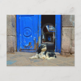 Hund vor blauer Tür Gewartet, Cusco, Peru Postkarte