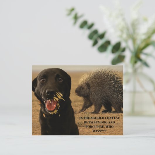 Hund vs. Stachelschwein Karte (Stehend Vorderseite)
