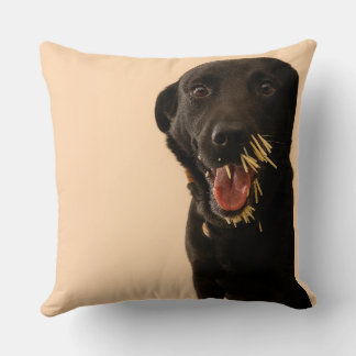 Hund vs. Stachelschwein-Kissen Kissen
