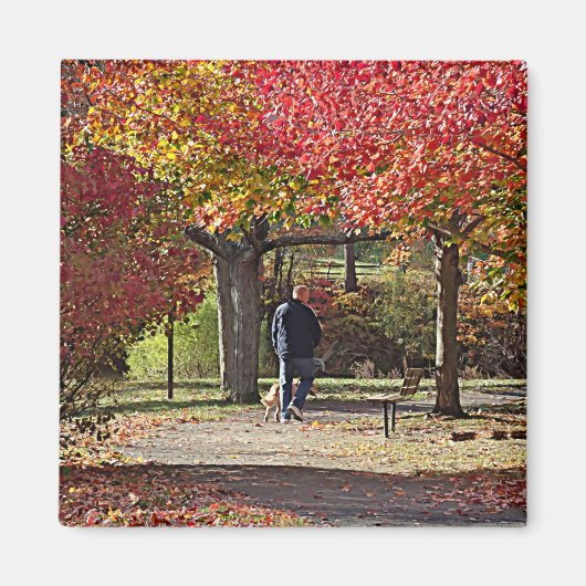 Hund wandern im Herbstpark Magnet (Vorne)