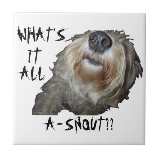Hund "WAS IST DAS ALLES A-SCHNEE?" Kachel (Vorderseite)