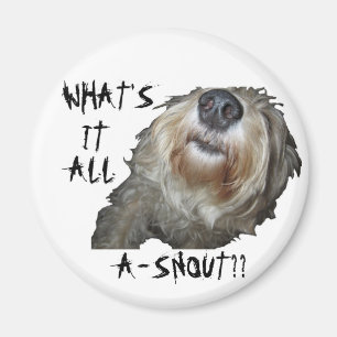 Hund "WAS IST DAS ALLES A-SCHNEE?" Magnet
