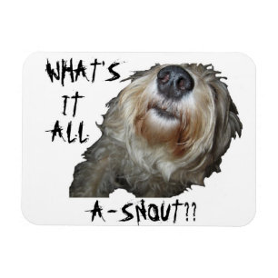 Hund "WAS IST DAS ALLES A-SNOUT?" Flexibles Magnet